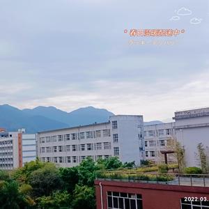 2022.03.31-13.15.43-下午_2022-03-31_132210_2022-03-