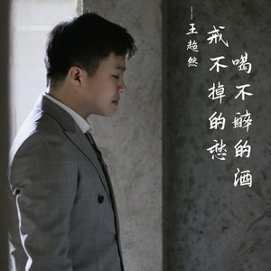 喝不醉的酒戒不掉的愁