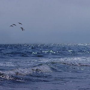 鎌倉の海を見たい