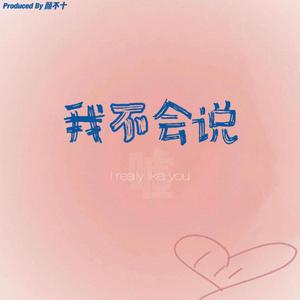 我不会说