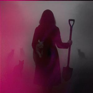 J'enterre les chats (feat. Emma Lecharlier)