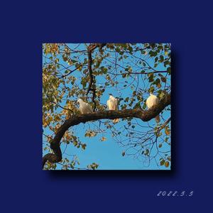 二零二二年的三月的三日