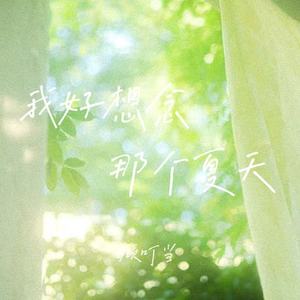 我好想念那个夏天