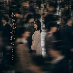 あぁ惹かれる