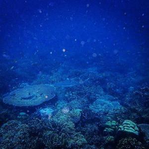 日（Cover 刘俊男）