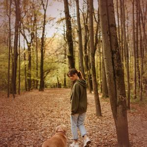 Morning Walk In Forest Sound for Body Healing and Emotional Cleanse