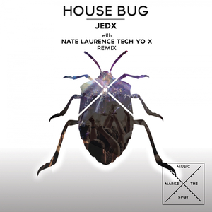 House Bug (Nate Laurence Tech Yo X Remix)