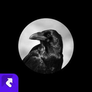 心如止水 (DJ版)