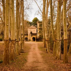 安纳布尔纳环线热情红茶