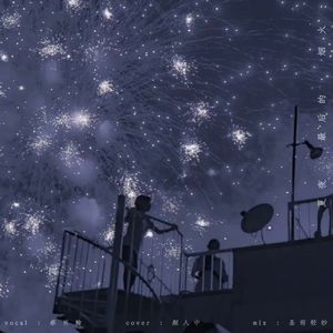 夏夜最后的烟火（当我抬起头 你正看向我）