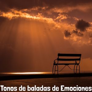 Chocamos
