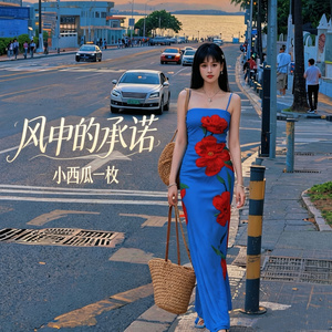 风中的承诺 (伤感版)
