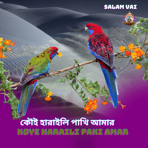 Koye Haraili Paki Amar