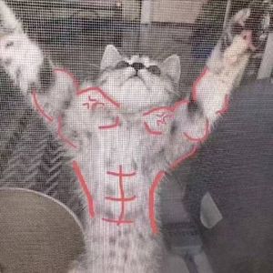 猜不透