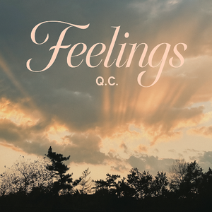 Feelings (感觉)