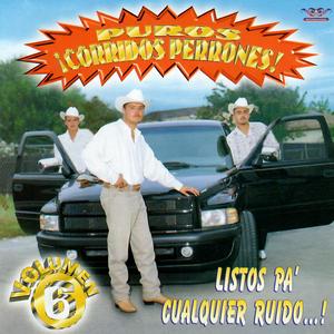 Entre Cerros y Pinos