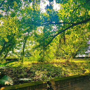 今天星期几都行