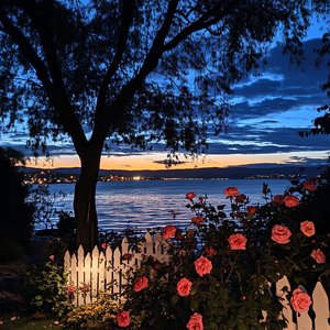 南方没有雪，也没有我们的永远