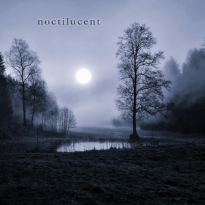 Noctilucence
