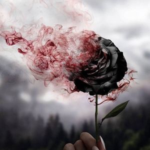 镜中世界的最后一位旅人