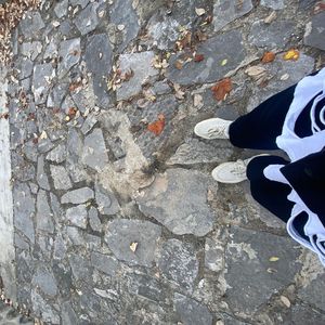 把快乐装进你胸口 伴奏