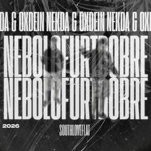 Nebolo furt dobre (feat. OXDEIN)