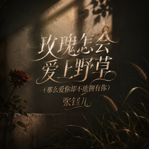 玫瑰怎会爱上野草（那么爱你却不能拥有你）