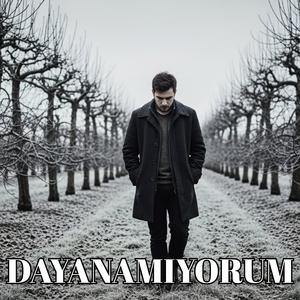 Dayanamıyorum