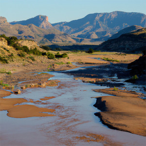 Petronella