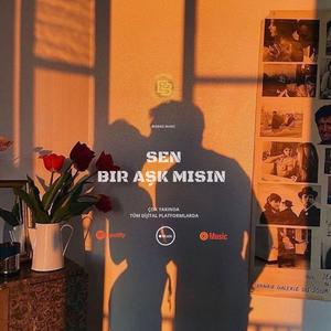 Sen Bir Aşk Mısın