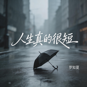 人生真的很短（抒情版)