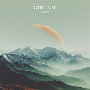 Circiut