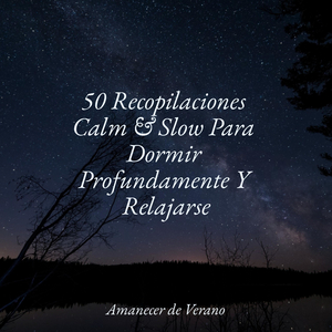 Chaparrón Encantado de Flores