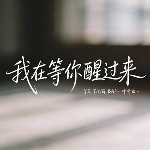 我在等你醒过来