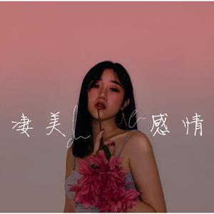 凄美的感情