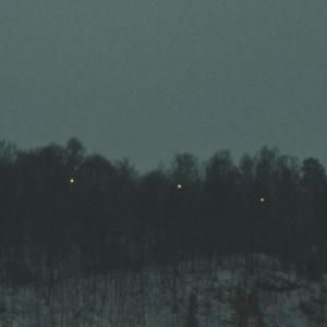 thank you for the story (feat. Ornithology)