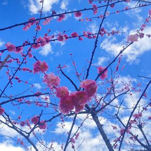 烟水寒