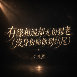 有缘相遇却无份到老(没身份陪你到结尾)