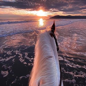 Mellen Gi & Tommee Profitt - In The End