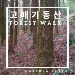 고배기동산 forest walk
