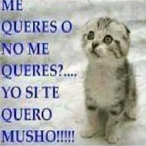 sugerencias inútiles