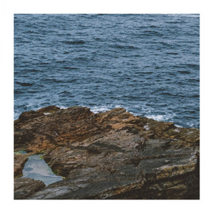 Epiphyte (Ambient Mix)