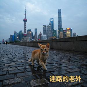 迷路的老外 · Lost Foreigner