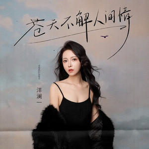 苍天不解人间情 (DJ九零版)