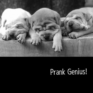 イタズラの天才ｗ