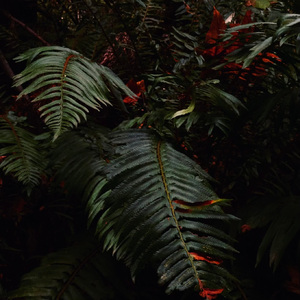 Chillin' and Grillin' / Sup Dude / It's Whatevers