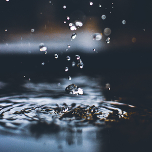 Zen Waters