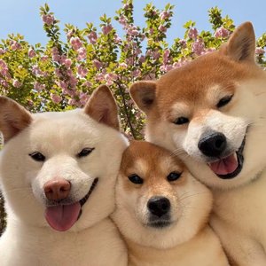 人山人海 你是我的意外