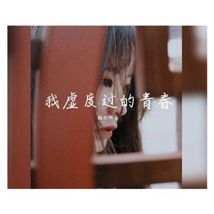 我虚度过的青春