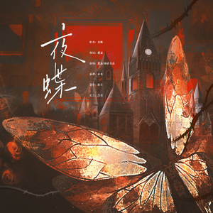 夜蝶